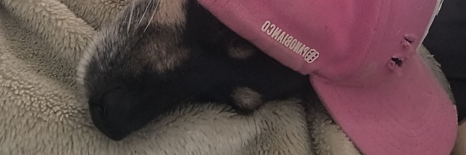 Emo Esquerdalha Extremista banner