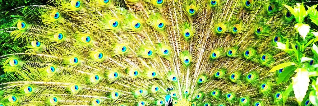 yaq1n's profile banner image