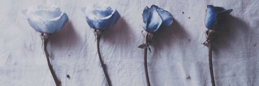 Shami_Ebrahim's profile banner image