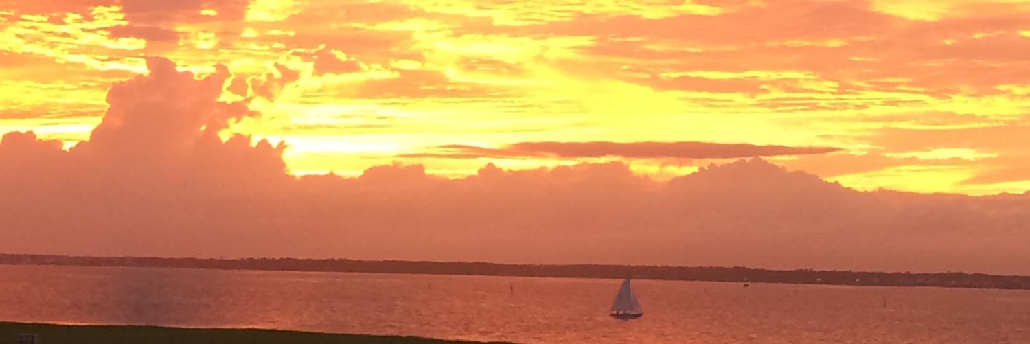 KristiBHocutt's profile banner image