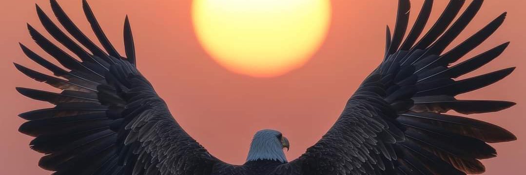 24samil's profile banner image