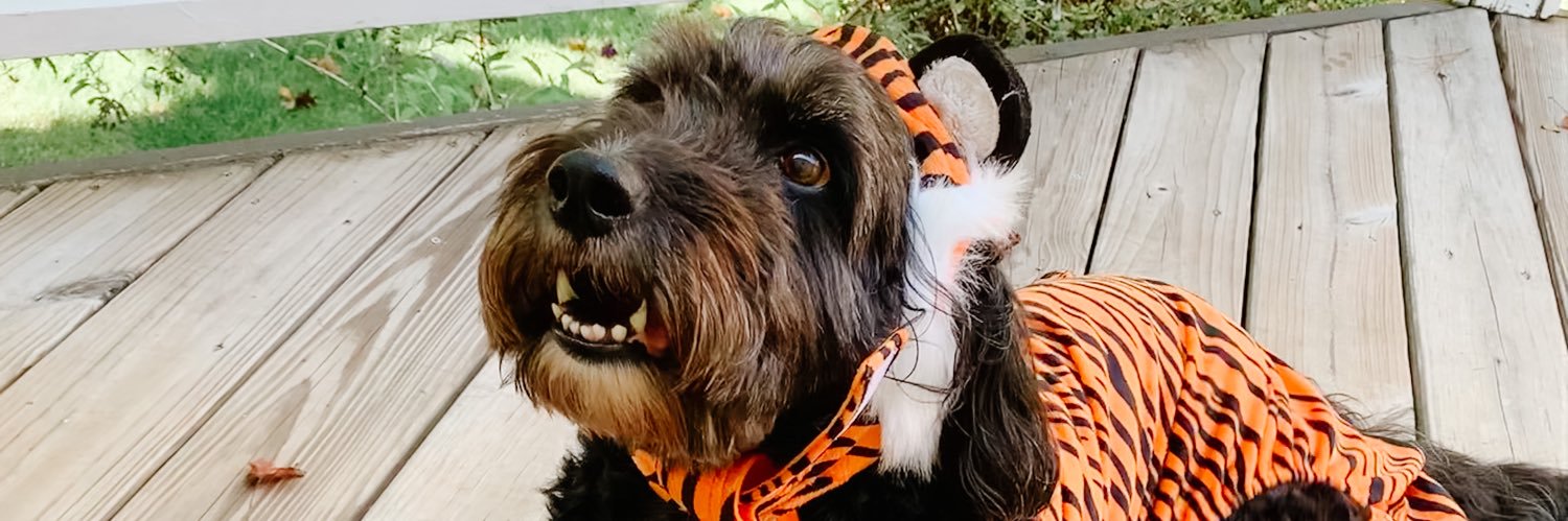 amber_carole's profile banner image