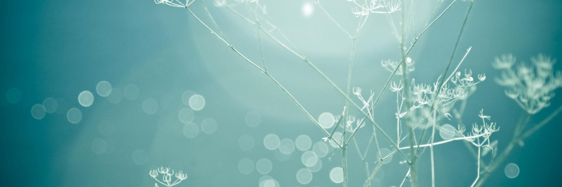 kristophersays's profile banner image
