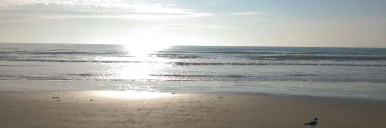 BigFishRich's profile banner image