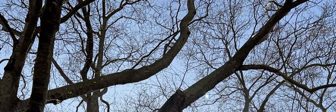 gilnanag's profile banner image