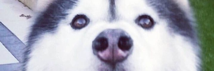 chrisandre27's profile banner image