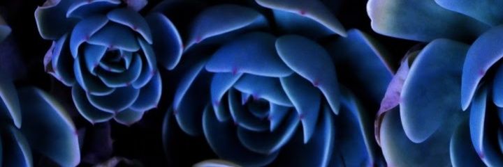 UdayaniShan's profile banner image