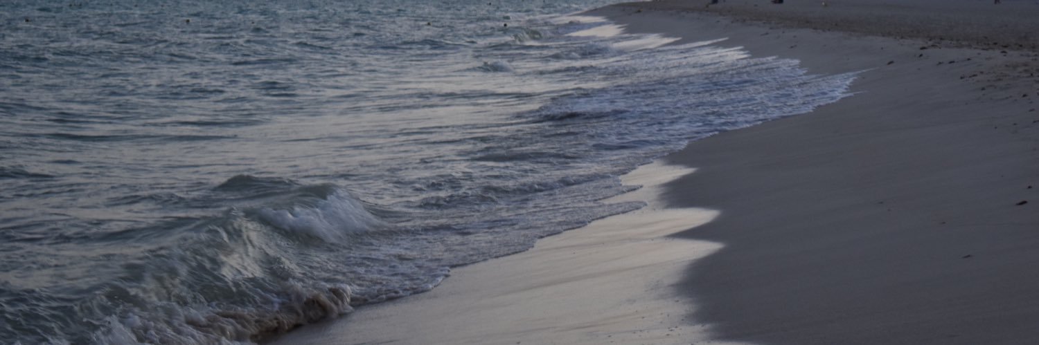 DebThompson111's profile banner image