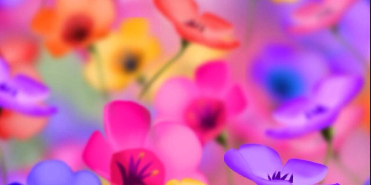 Kim_Dinsmore's profile banner image