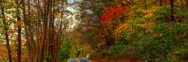 Skamlowsky Profile Banner