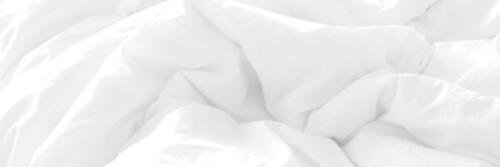 alegdrx's profile banner image