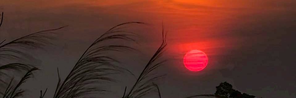 CHANALZA's profile banner image