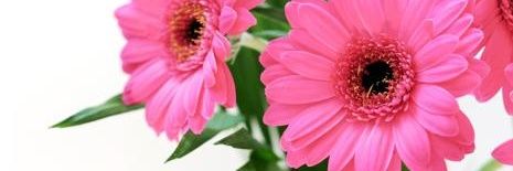 fatma93m's profile banner image