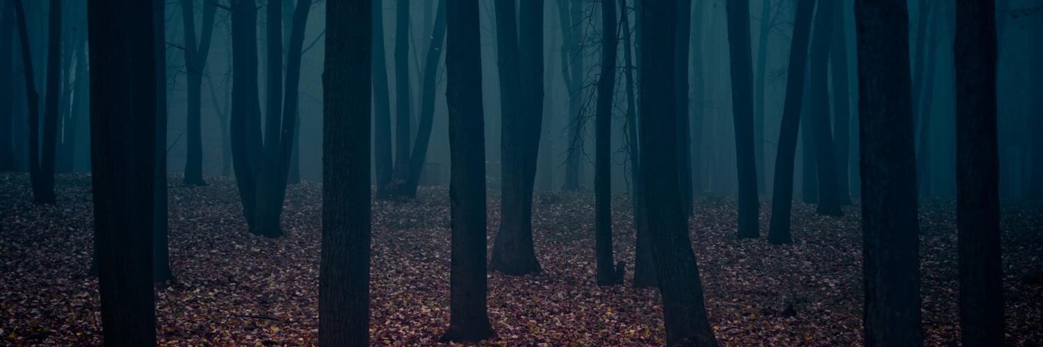 ppons's profile banner image
