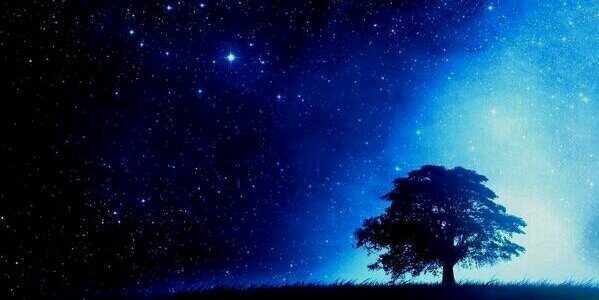 sweet___kz's profile banner image