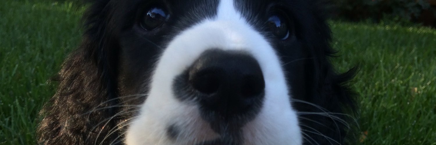 ElizabethEmken's profile banner image