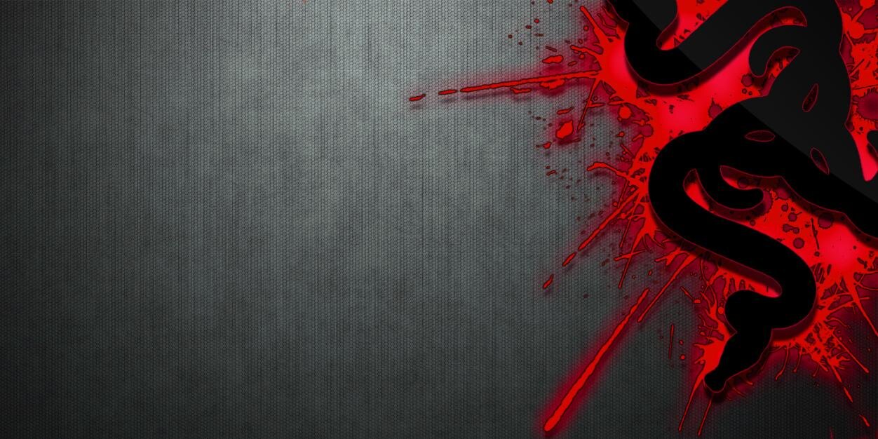 Pawndida's profile banner image