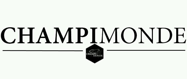 Dominique Thériault banner