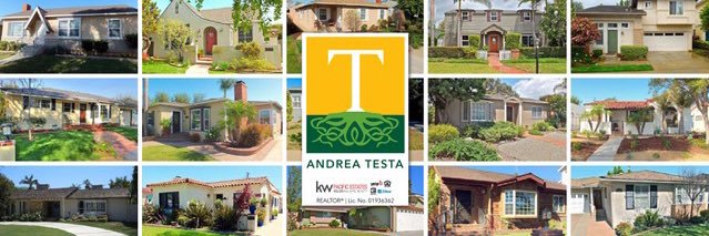 AndreaTesta77's profile banner image