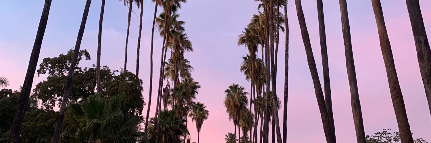 anapugarza's profile banner image