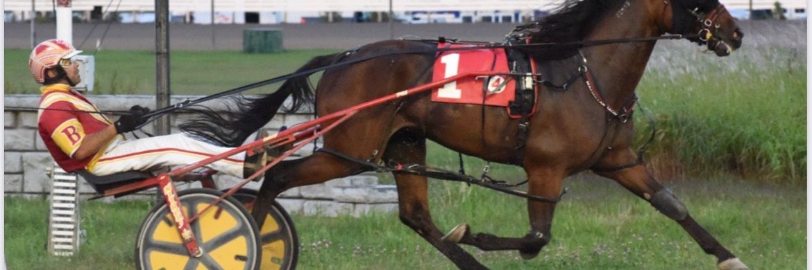 Stephane Brosseau banner