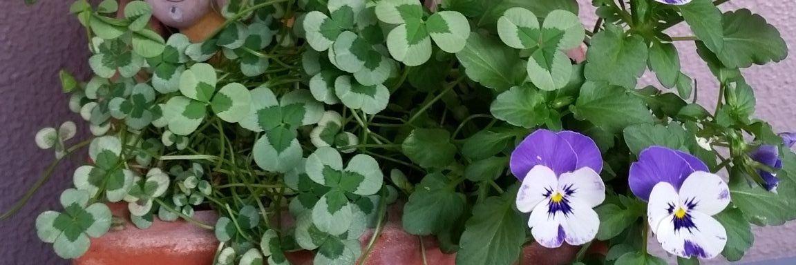 kailovesae's profile banner image