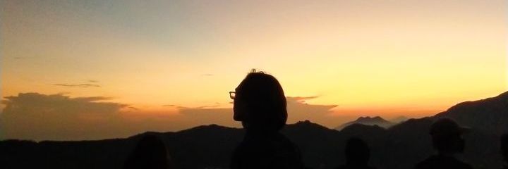 heartwagon's profile banner image