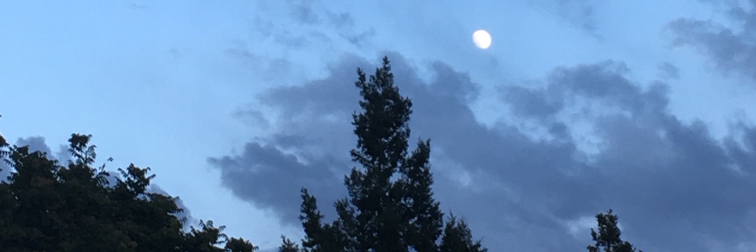 hillrepute's profile banner image
