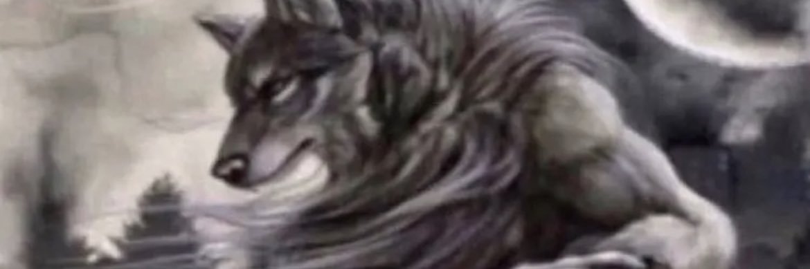 vrxndyyyy's profile banner image