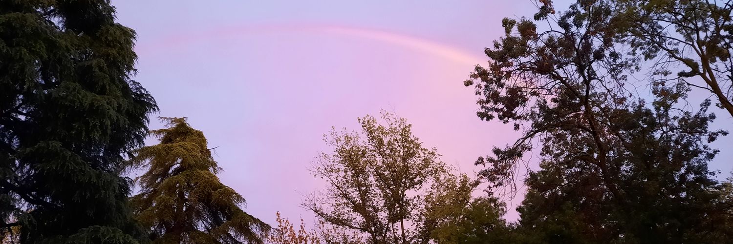 AnnaBuzzi69's profile banner image