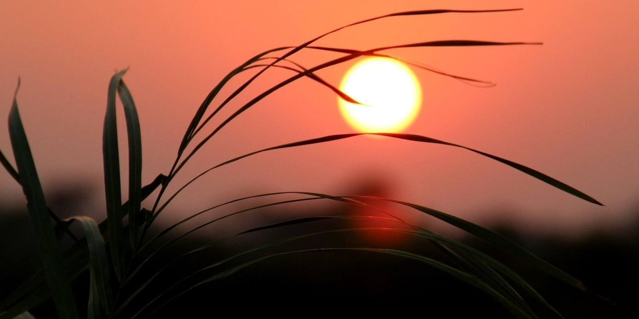 valenciavaleee's profile banner image