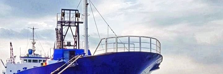 fiemailda's profile banner image