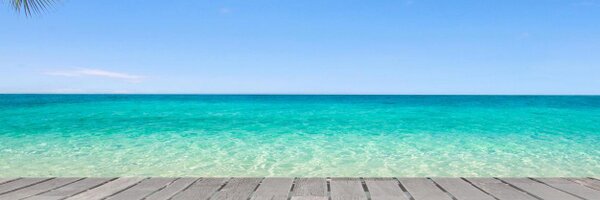 wingbookers Profile Banner