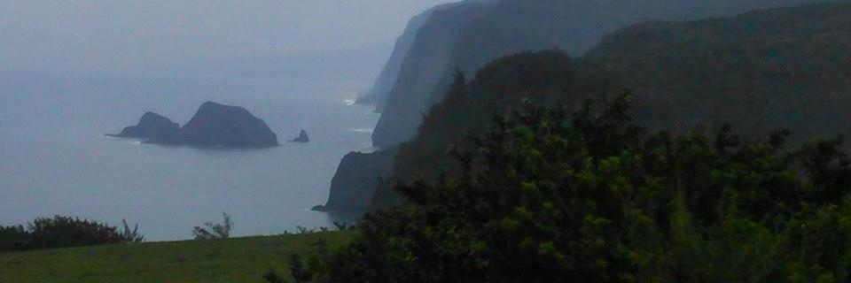 I Want to Bolieve banner