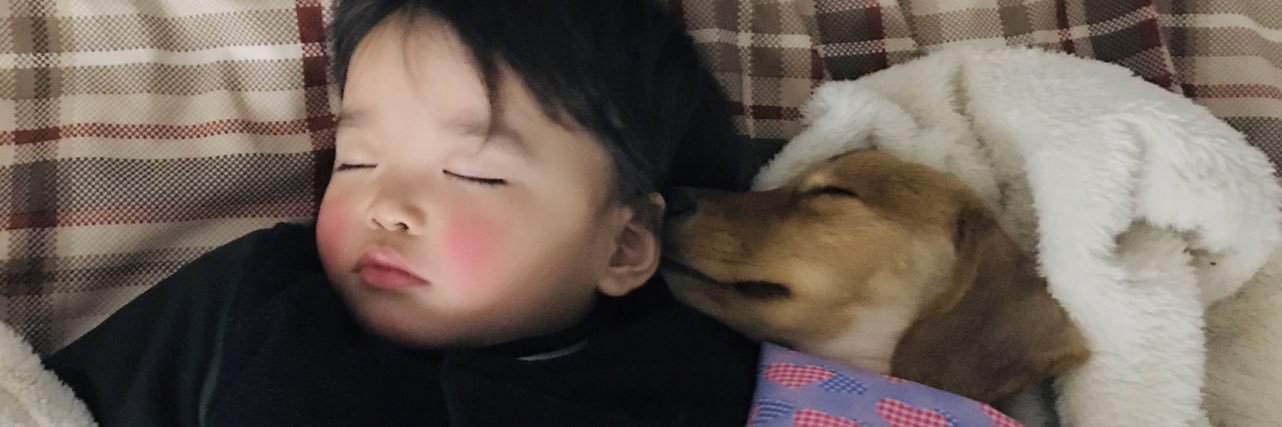 Gaogao824's profile banner image
