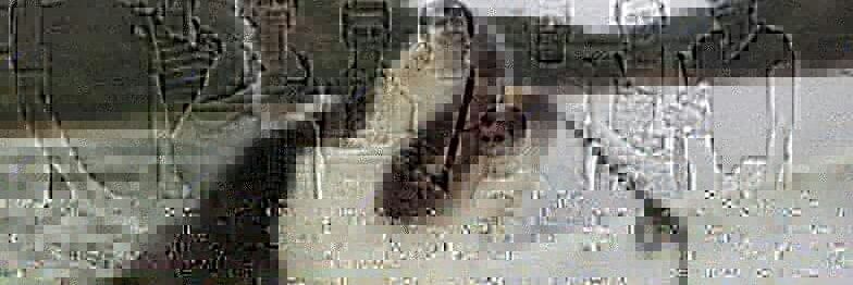 clct25's profile banner image