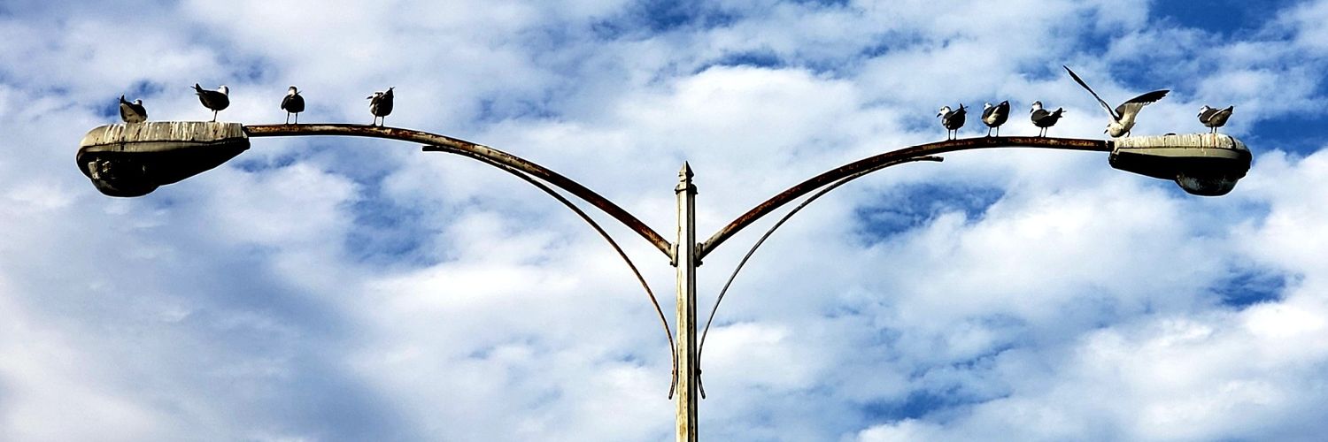 DoretheJame's profile banner image