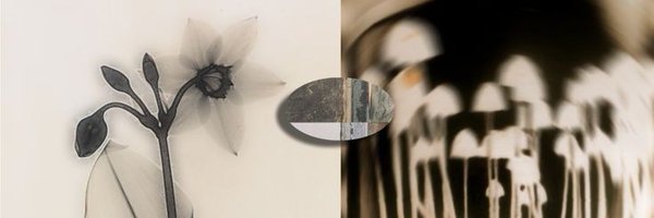Gutt Profile Banner