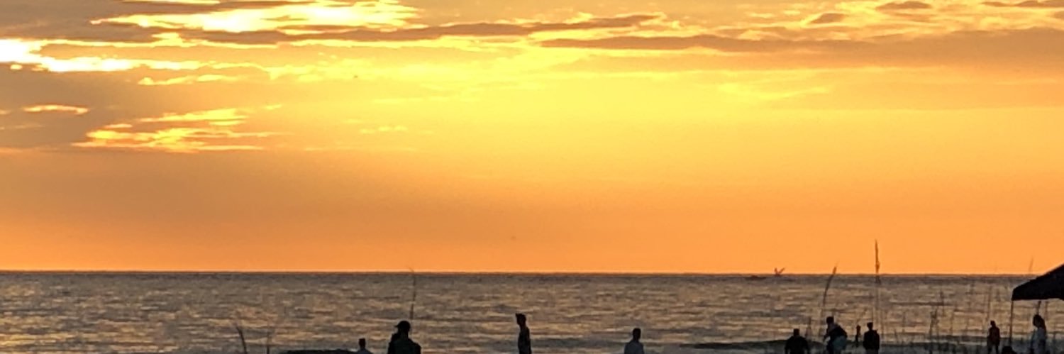Guyanna's profile banner image
