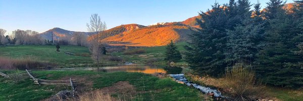 JeffKutcherMD Profile Banner