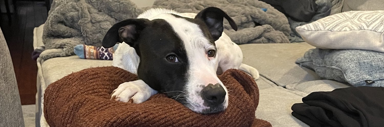 AlLiS⌬N McMah⌬n banner