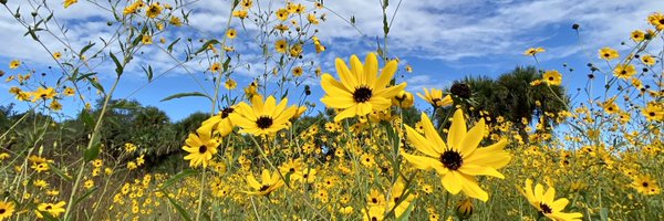 dolbyl Profile Banner