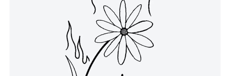 Shae_Rains16's profile banner image
