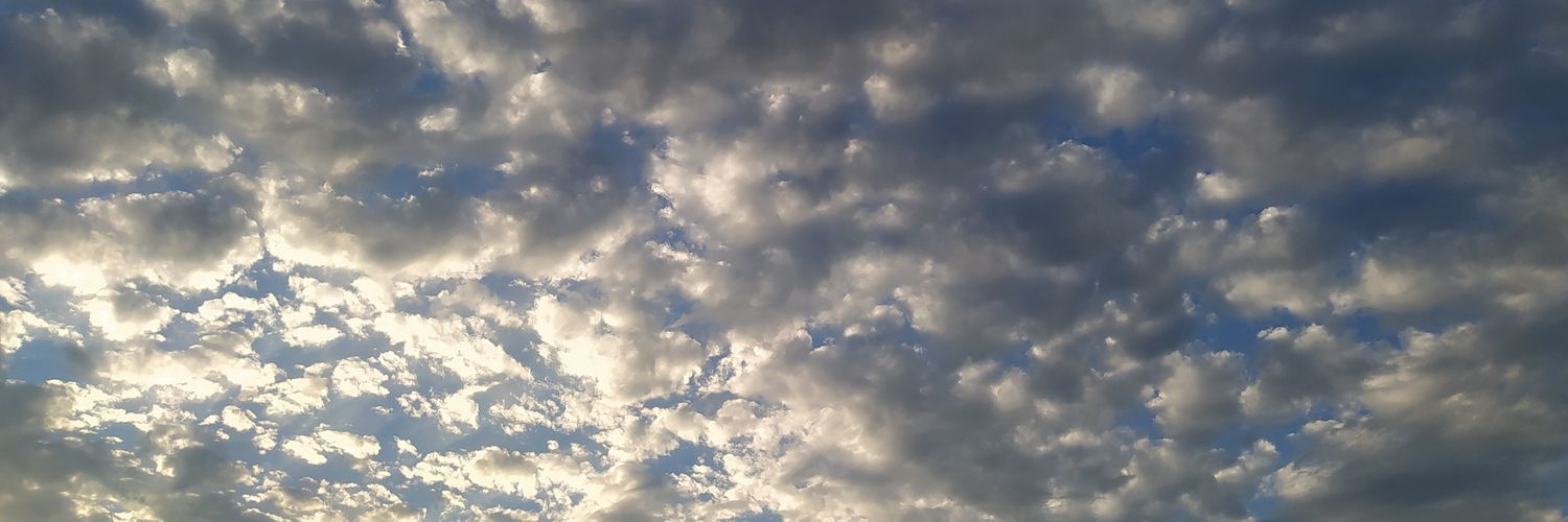 vickytorti_'s profile banner image