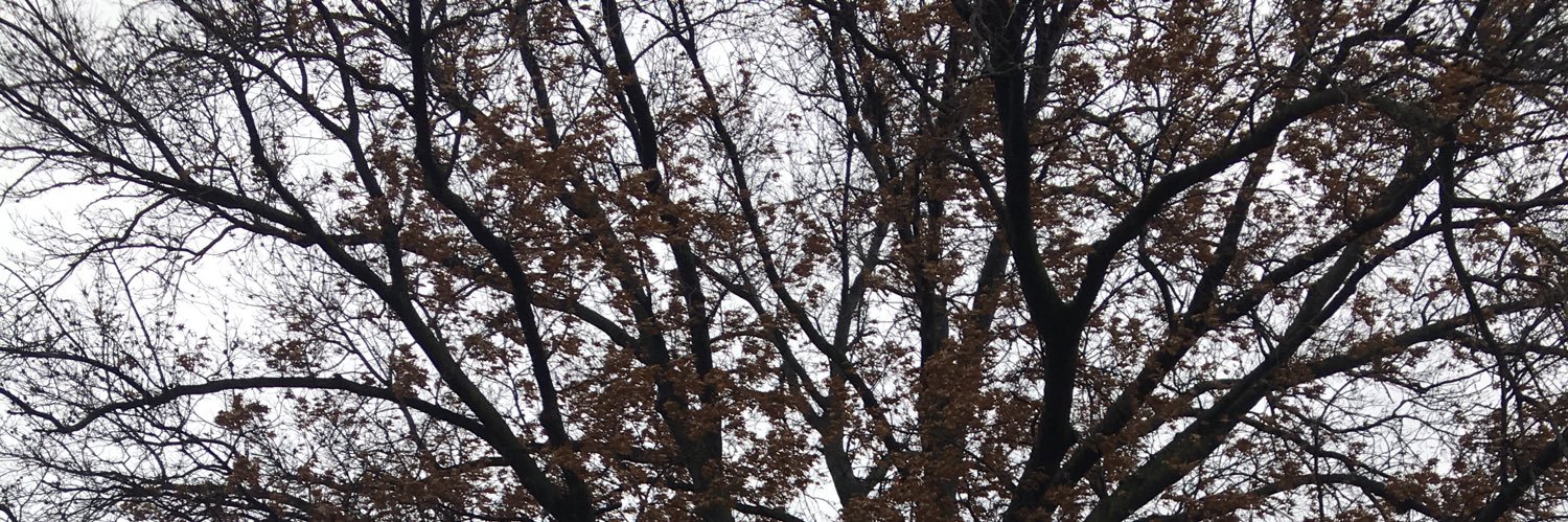 alanamond's profile banner image