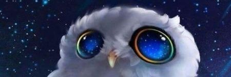 Filippe_S13 banner