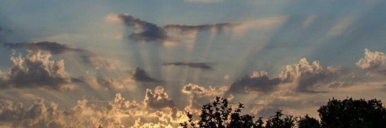 Madisonnnnnnnj's profile banner image
