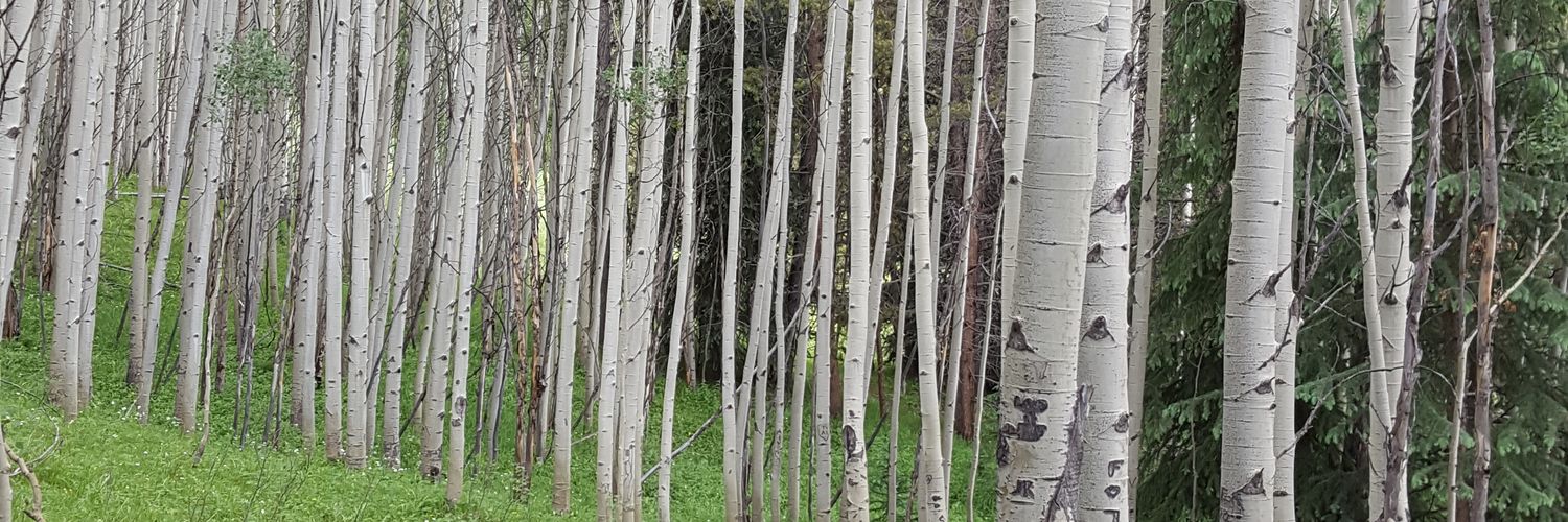 HRactually's profile banner image
