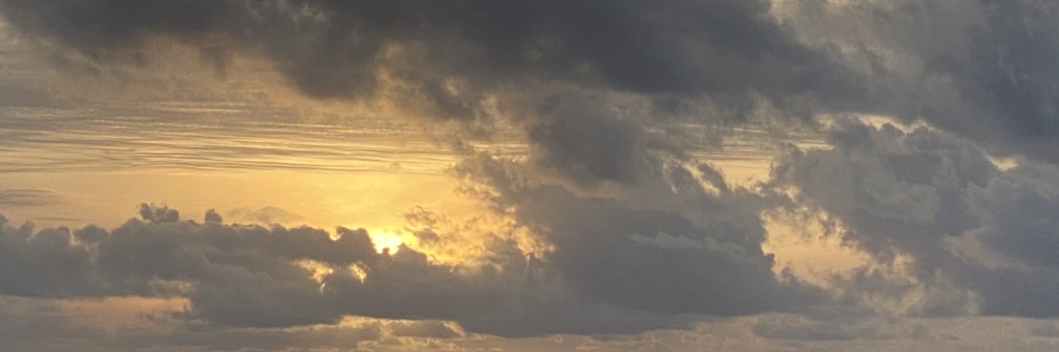 tynanl's profile banner image