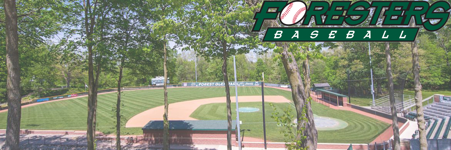 Huntington University Baseball banner
